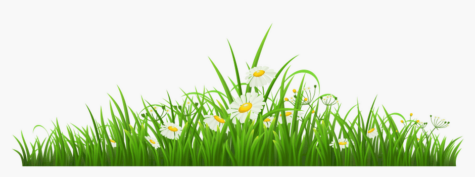 100-1008307_transparent-grass-with-chamomile-png-clipart-butterfly-cartoon.png